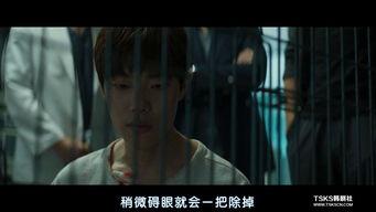 国产19禁,揭秘禁忌之下的激情与挑战